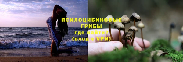 хмурый Шадринск