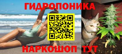 PSILOCYBIN Абакан