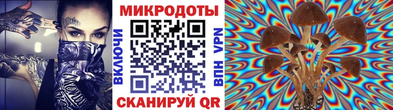Псилоцибиновые грибы Cubensis  где продают   Анжеро-Судженск 