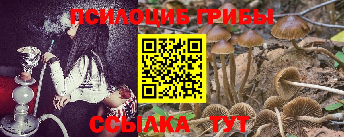 Псилоцибиновые грибы Magic Shrooms Анжеро-Судженск