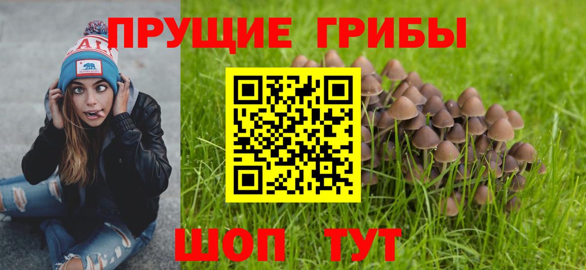 Галлюциногенные грибы мицелий  Галлюциногенные грибы GOLDEN TEACHER  Вход с VPN  Анжеро-Судженск 