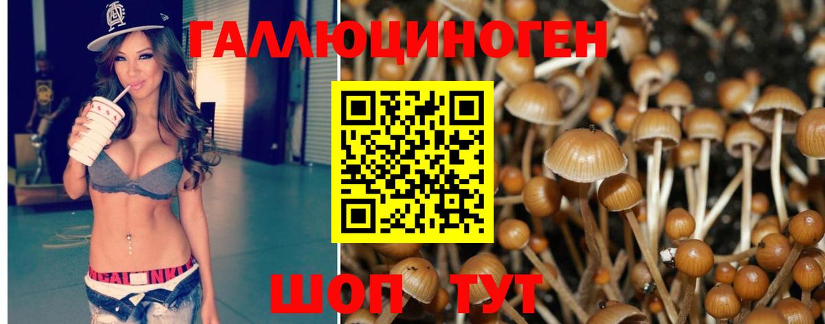 Псилоцибиновые грибы MAGIC MUSHROOMS Анжеро-Судженск